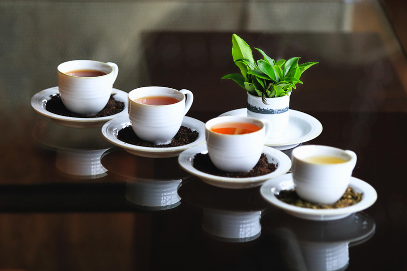 أنواع الشاي وفوائده الصحية… مشروب عالمي بفوائد متعددة